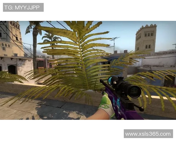 CSGO战术解析:深入剖析LNG团队的包夹战术与执行细节 CSGO战术解析:深入剖析LNG团队的包夹战术与执行细节