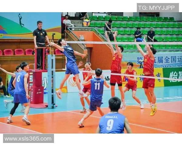 重庆排球队个人能力排名创新高展现新风采与实力提升