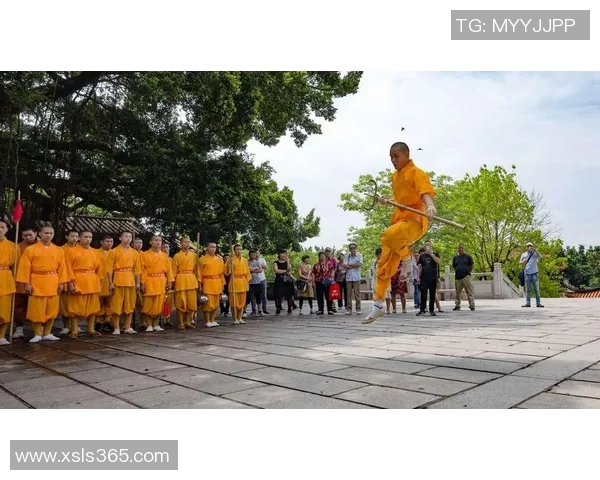 南京攀岩队区域防守分析与战术调整的得失总结
