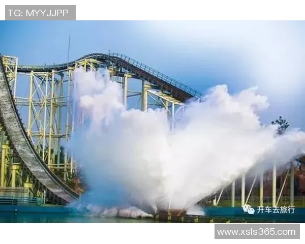 对话李敏：探索飞盘运动的魅力与挑战之旅