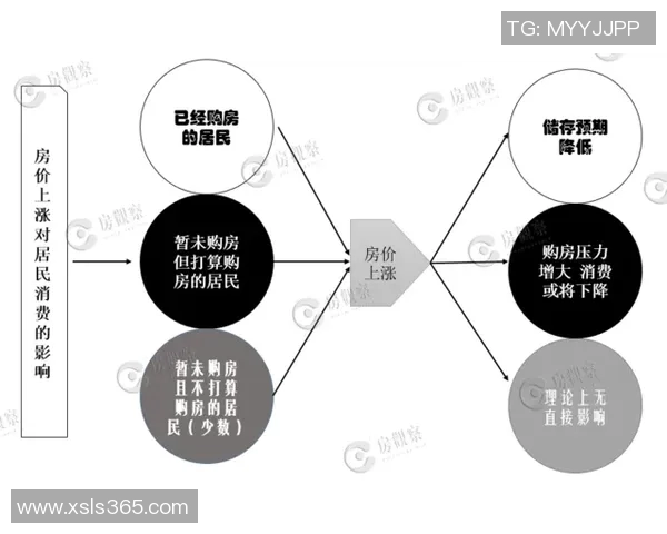 成都飞盘队心理素质分析及其对比赛表现的影响研究 成都飞盘队心理素质分析及其对比赛表现的影响研究