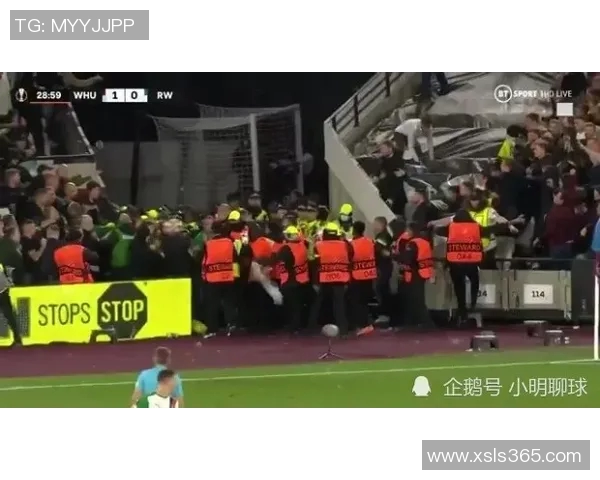 西安羽毛球队在钻石联赛中的速度表现解析与展望 西安羽毛球队在钻石联赛中的速度表现解析与展望