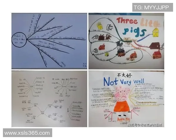 北京羽毛球队比赛经验分享与成长之路探讨