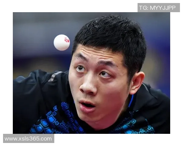 南京排球队在总决赛积分榜中以64分稳居第一名展现强劲实力